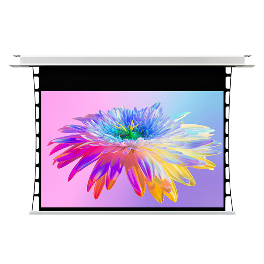 Motorized Projection Screen