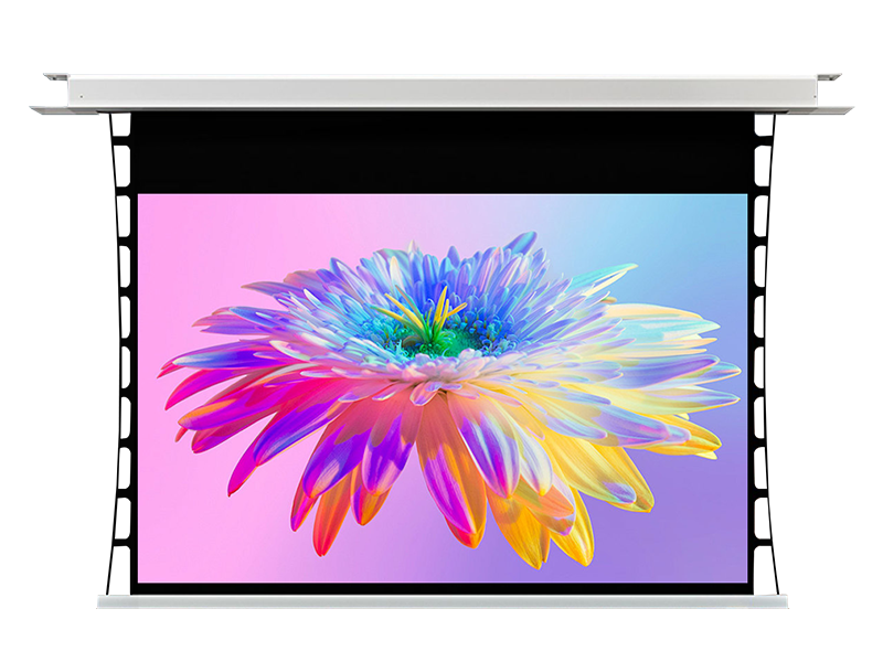 Hidden Ceiling Electric Screen LX Series