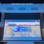 Hidden Ceiling Electric Screen LX Series