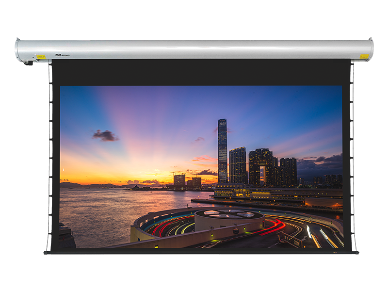 Curved Shell Electric Projection Screen MX Series