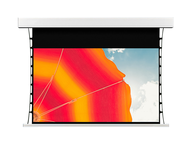 Aluminum Alloy Fully Enclosed Electric Projection Screen RX Series