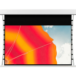 Aluminum Alloy Fully Enclosed Electric Projection Screen RX Series