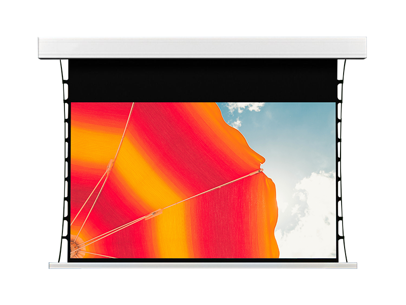 Aluminum Alloy Fully Enclosed Electric Projection Screen RX Series