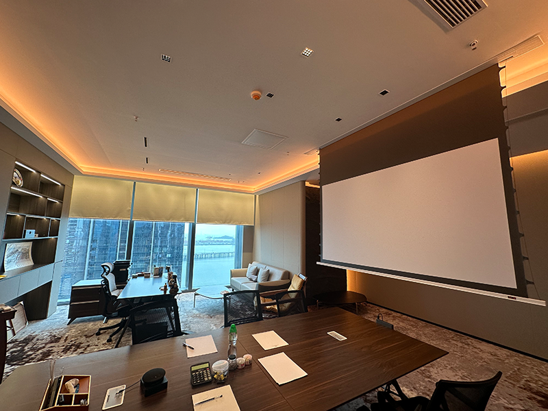 Hidden Ceiling Electric Screen LX Series插图