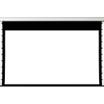 Aluminum Alloy Shell Electric Projection Screen QX Series