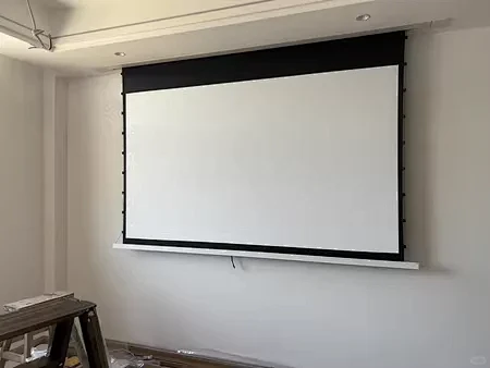 The quality of your projection is half determined by the screen2